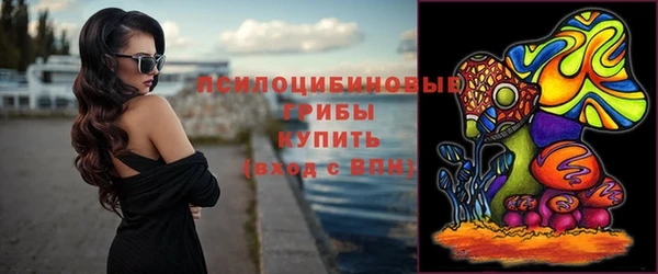 герыч Вязьма