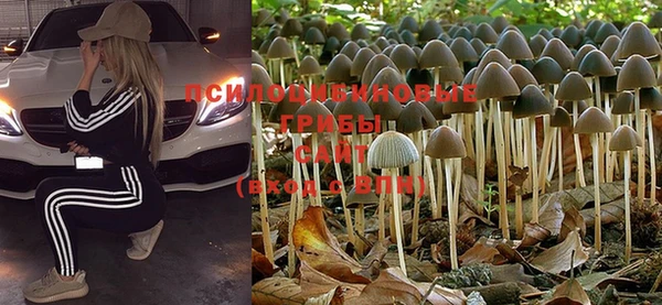 герыч Вязьма